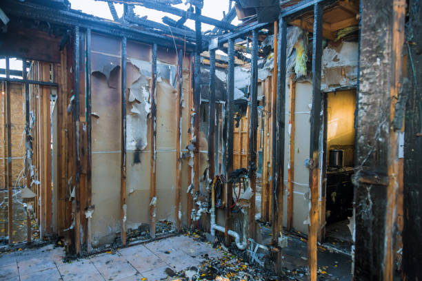 Professional Smoke Damage Removal technician working in Cleveland Heights, OH